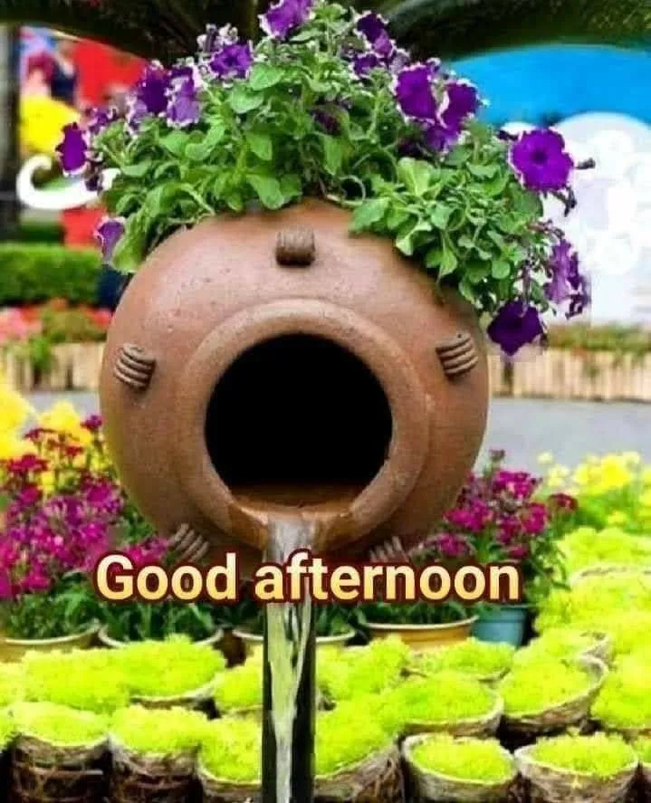 good-afternoon-images-2 Good Afternoon Images
