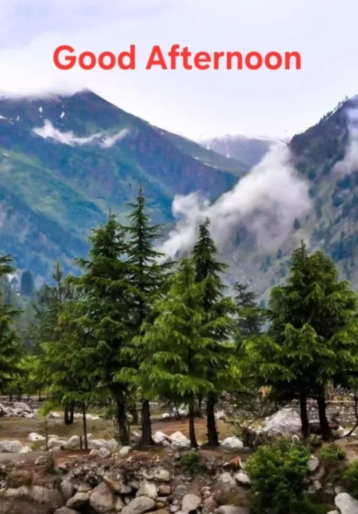 Good Afternoon Images Good Afternoon Images