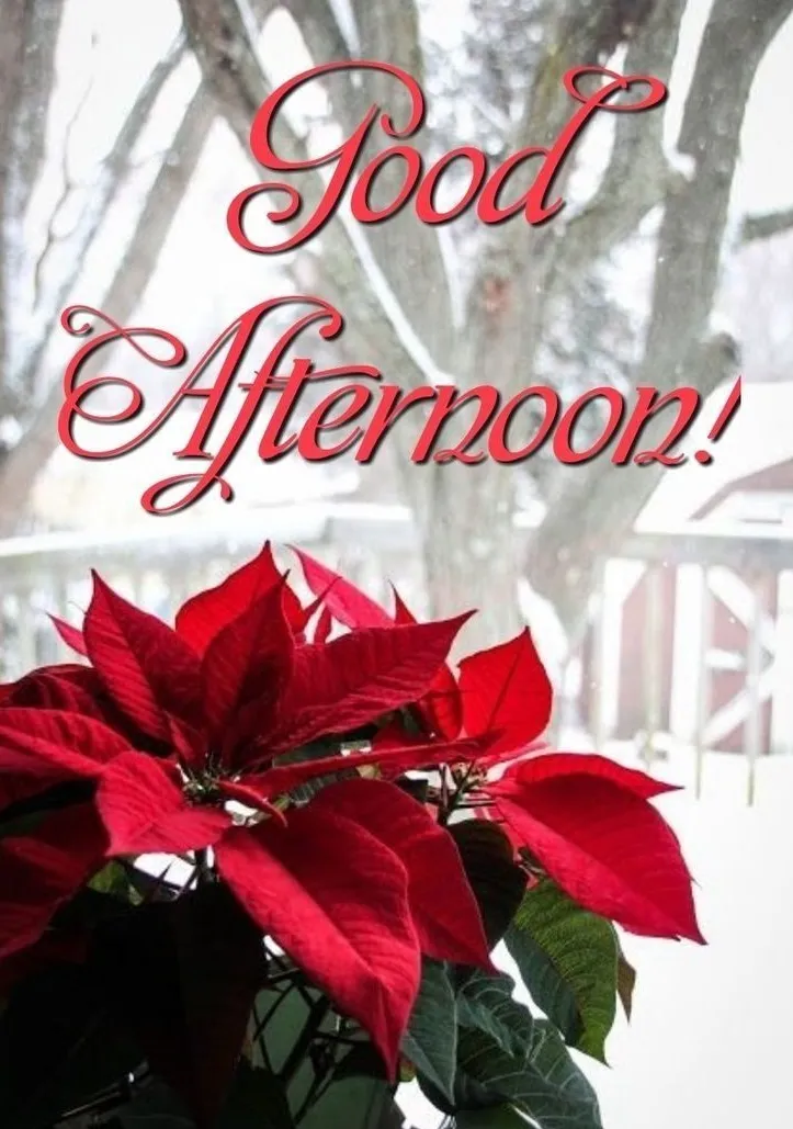 Good Afternoon Images Good Afternoon Images