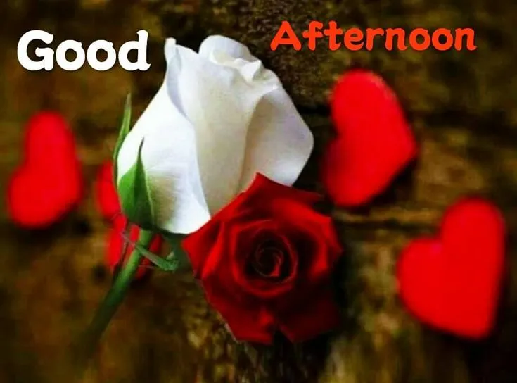 good-afternoon-images-6 Good Afternoon Images