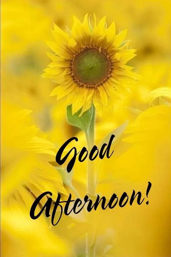 good-afternoon-images-8 Good Afternoon Images