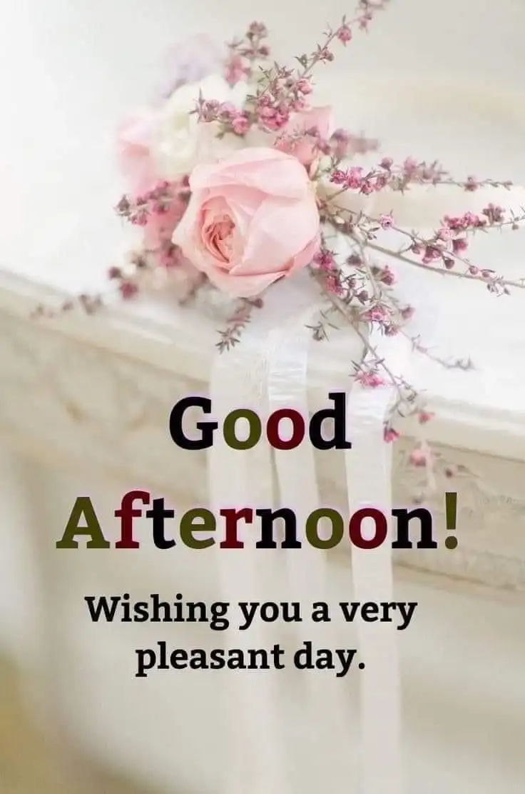 Good Afternoon Images good afternoon images