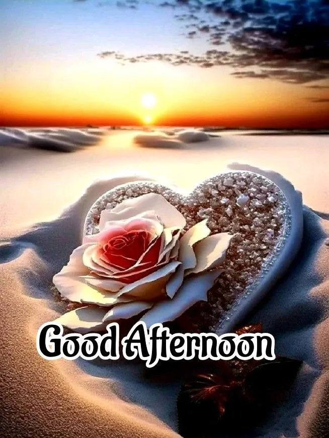 Good Afternoon Love Images Good Afternoon Love Images