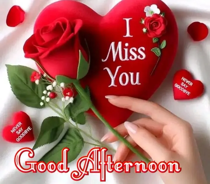 Good Afternoon Love Images Good Afternoon Love Images