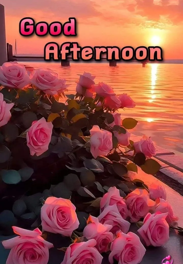 good-afternoon-love-images-3 Good Afternoon Images Love