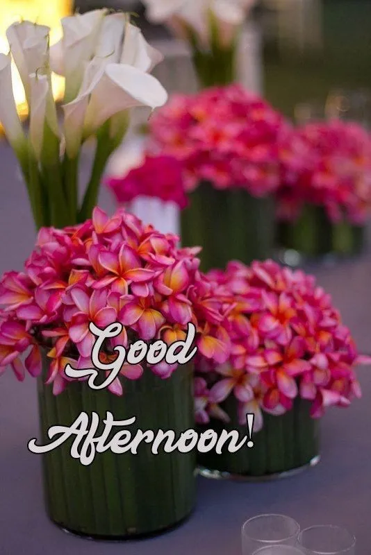 good afternoon photo