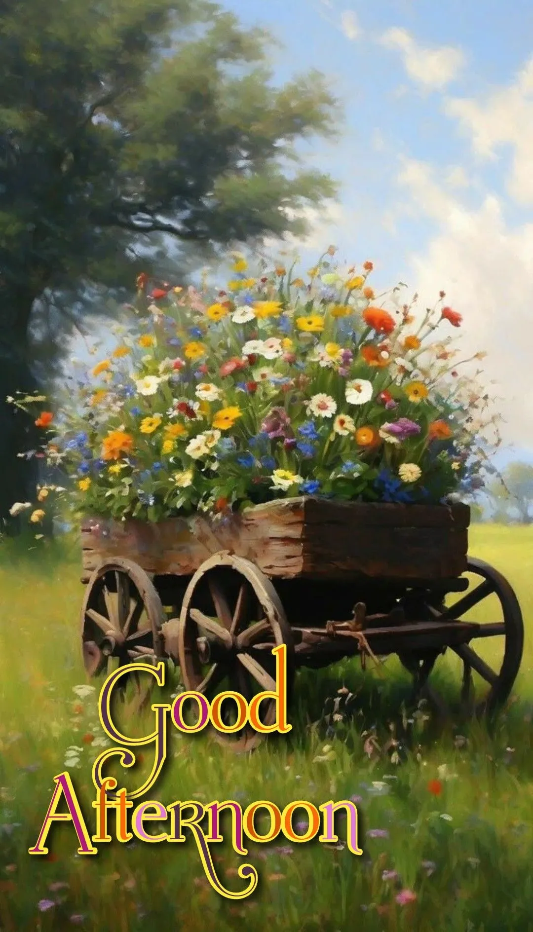 Good Afternoon Pic Good Afternoon Pic