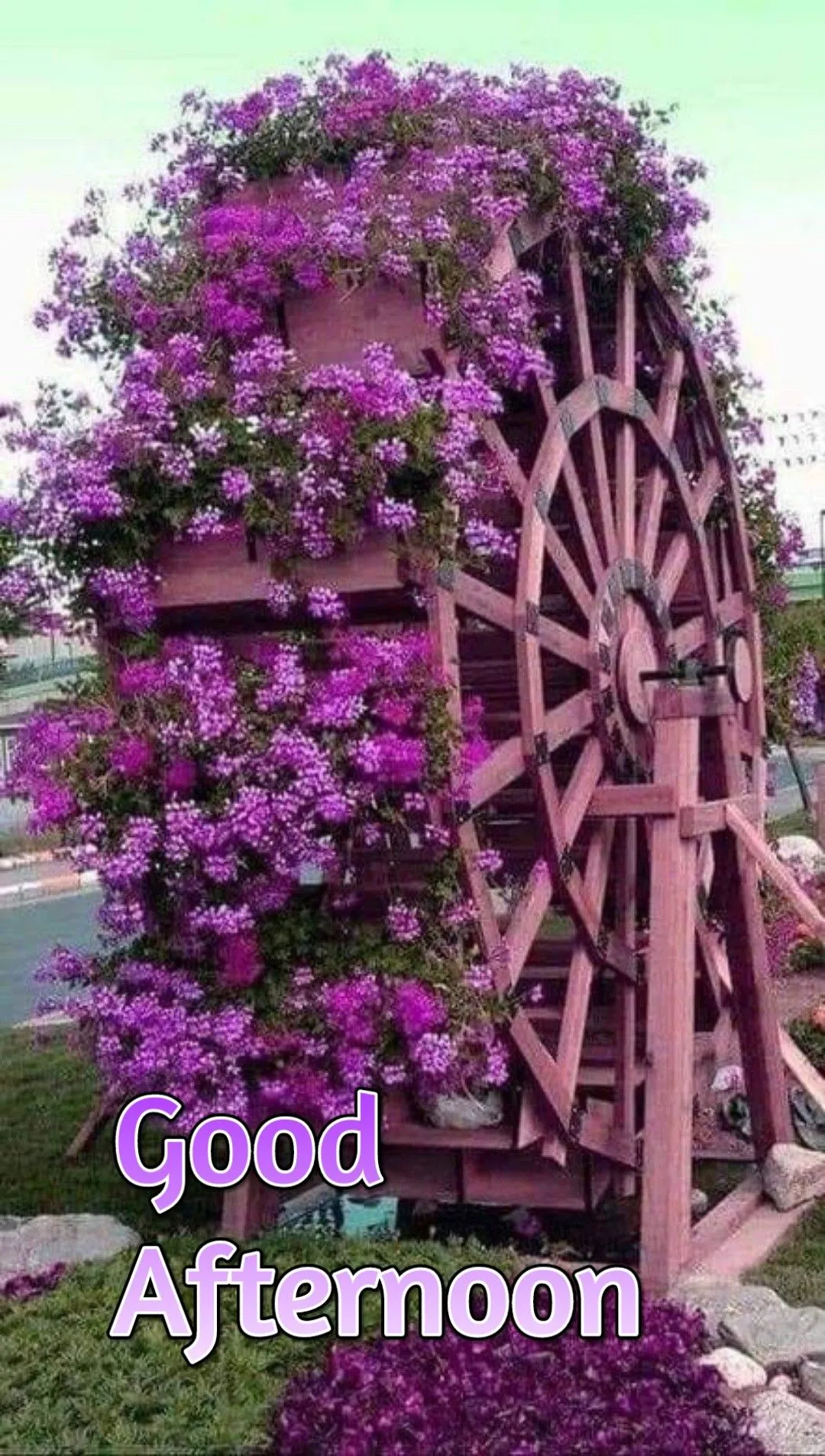 Good Afternoon Pic Good Afternoon Pic