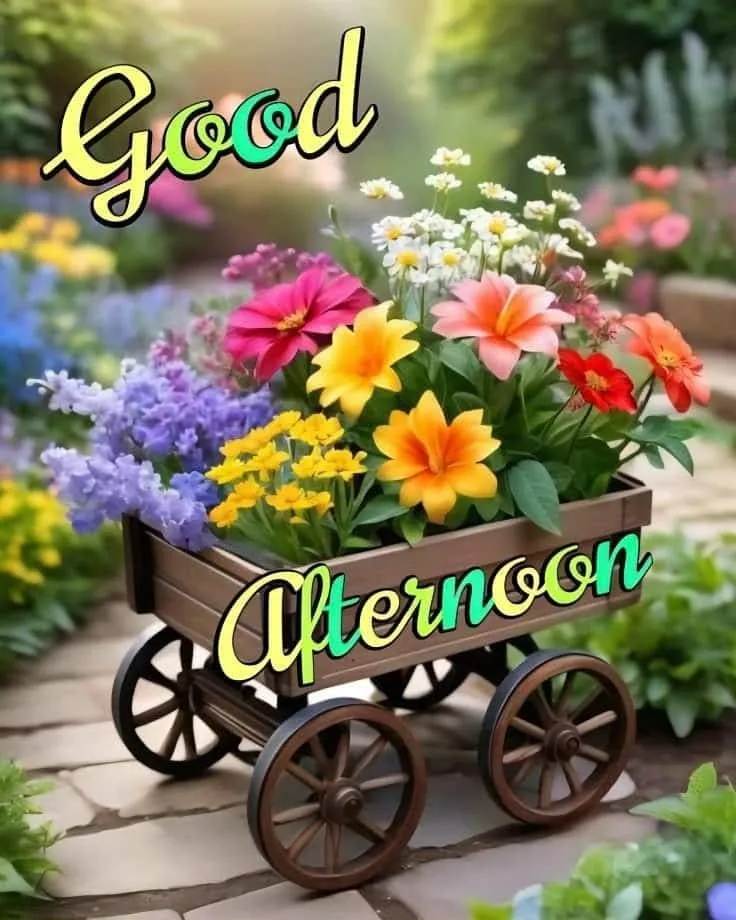 Good Afternoon Pic Good Afternoon Pic