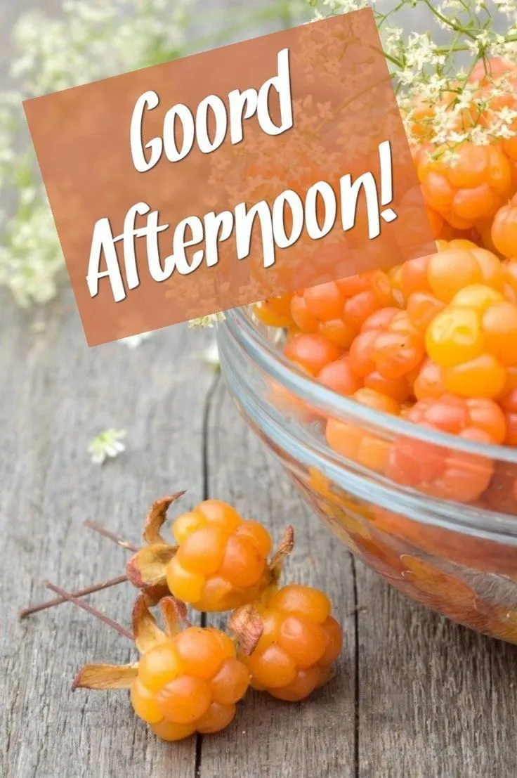 Good Afternoon Pic Good Afternoon Pic