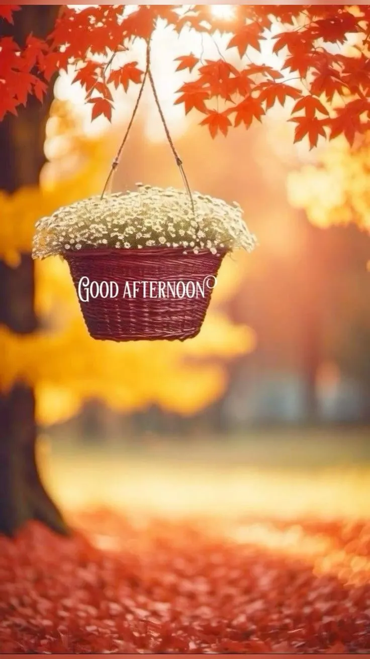 Good Afternoon Pic Good Afternoon Pic