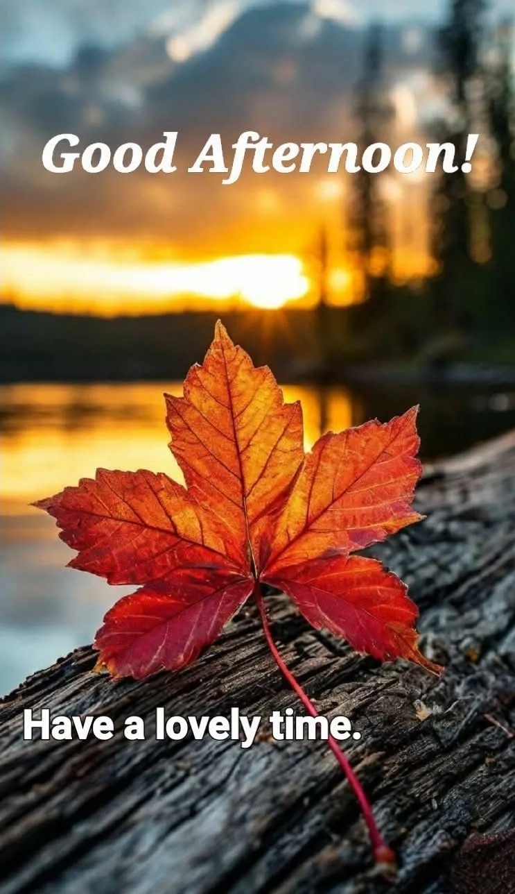 Good Afternoon Pic Good Afternoon Pic