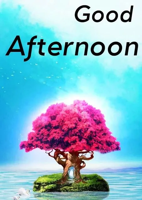 good-afternoon-pic-5 Good Afternoon Pic