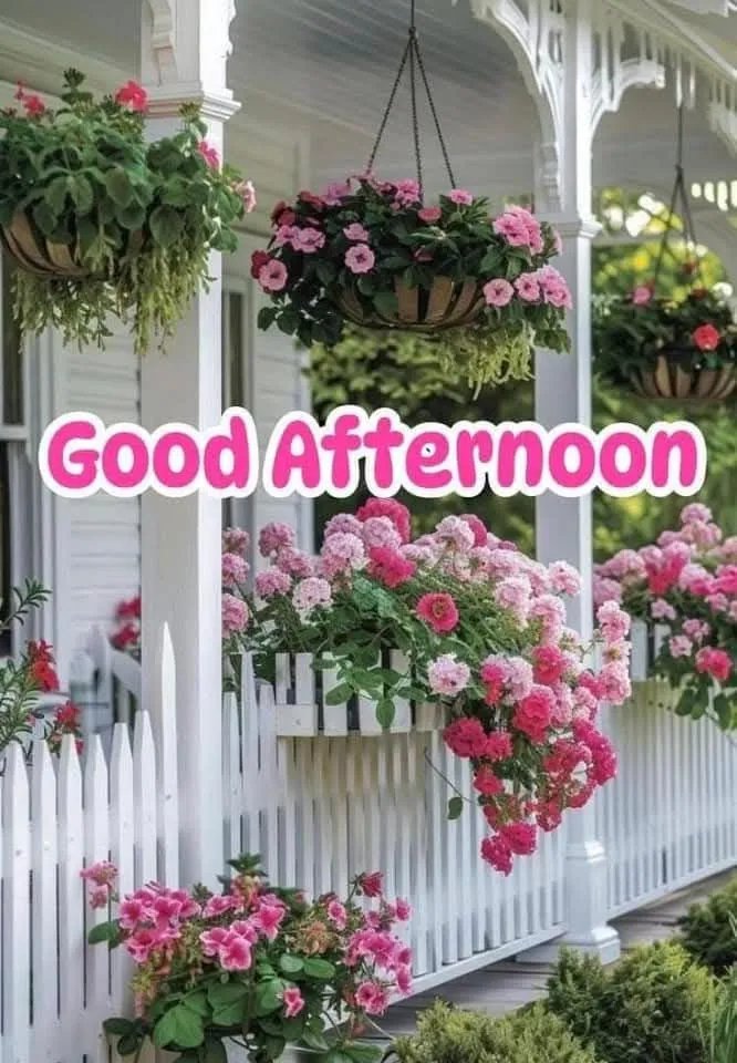 good-afternoon-pic-6 Good Afternoon Pic