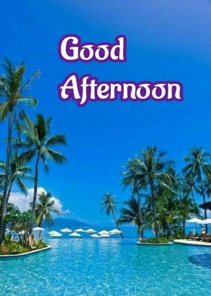 good-afternoon-pic-7 Good Afternoon Pic