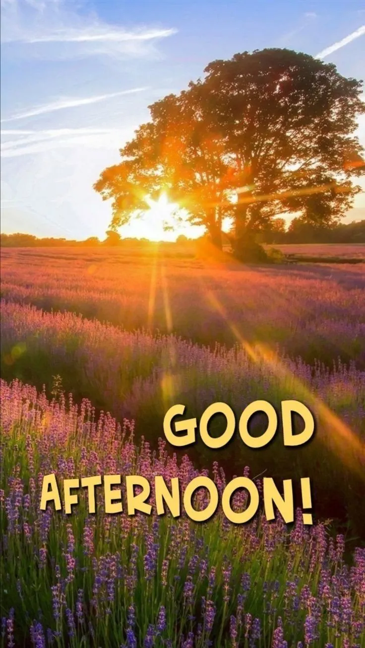 good afternoon picture