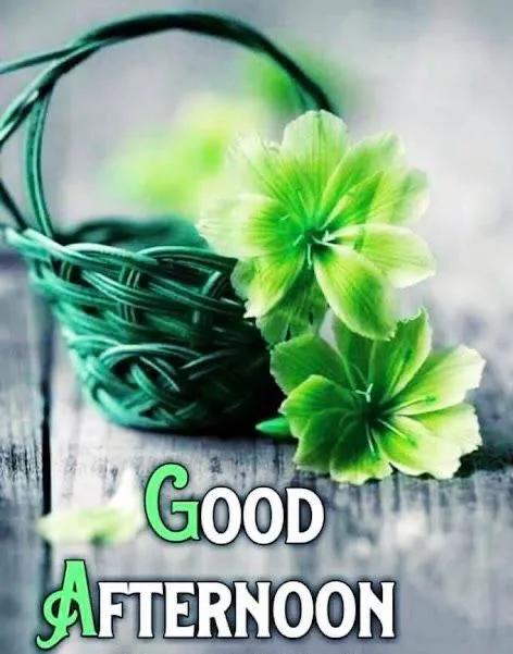 Good Afternoon Pictures