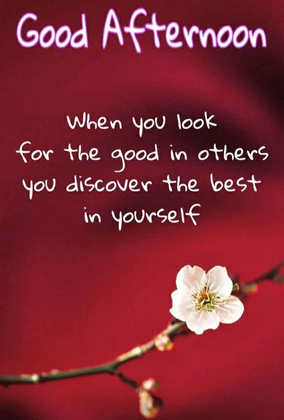 Good Afternoon Wishes Images​