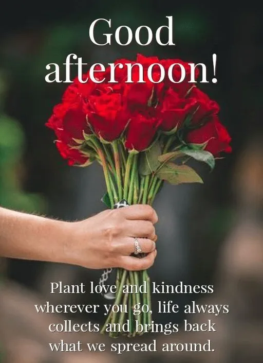 Good Afternoon Wishes Images​