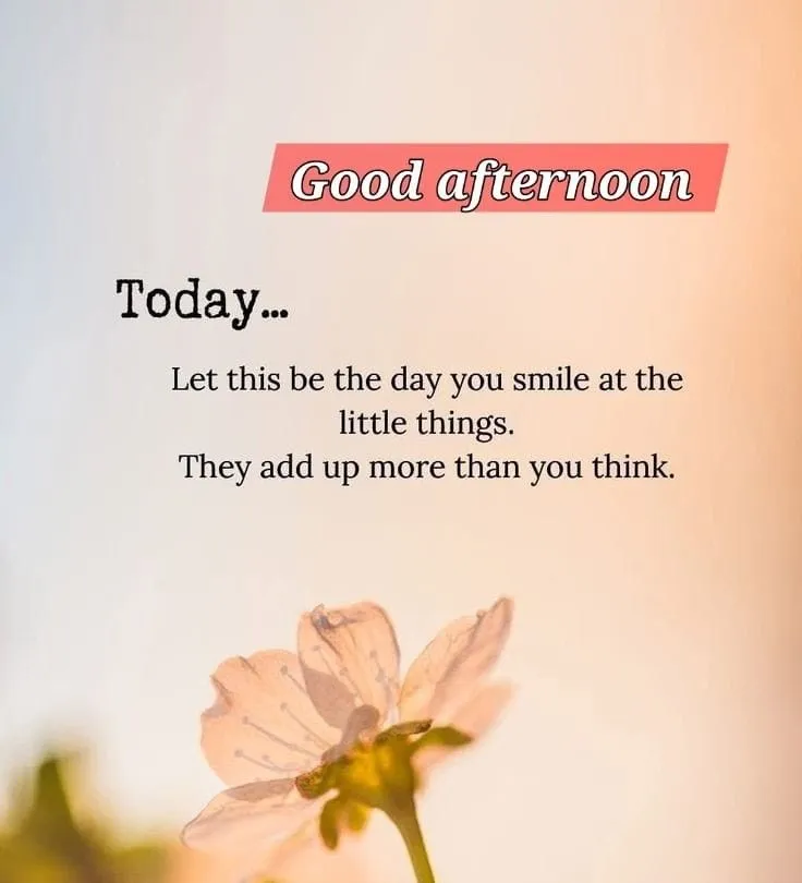 Good Afternoon Wishes Images Good Afternoon Wishes Images