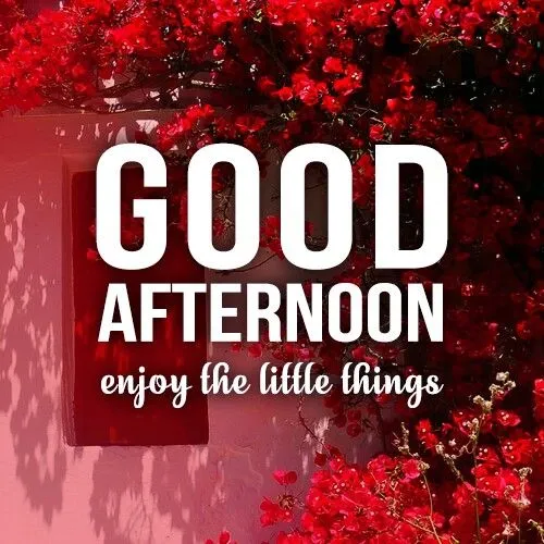 Good Afternoon Wishes Images Good Afternoon Wishes Images
