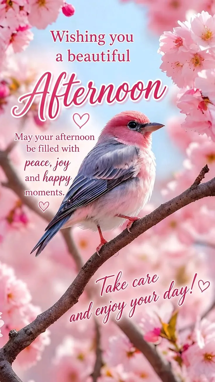 Good Afternoon Wishes Picture