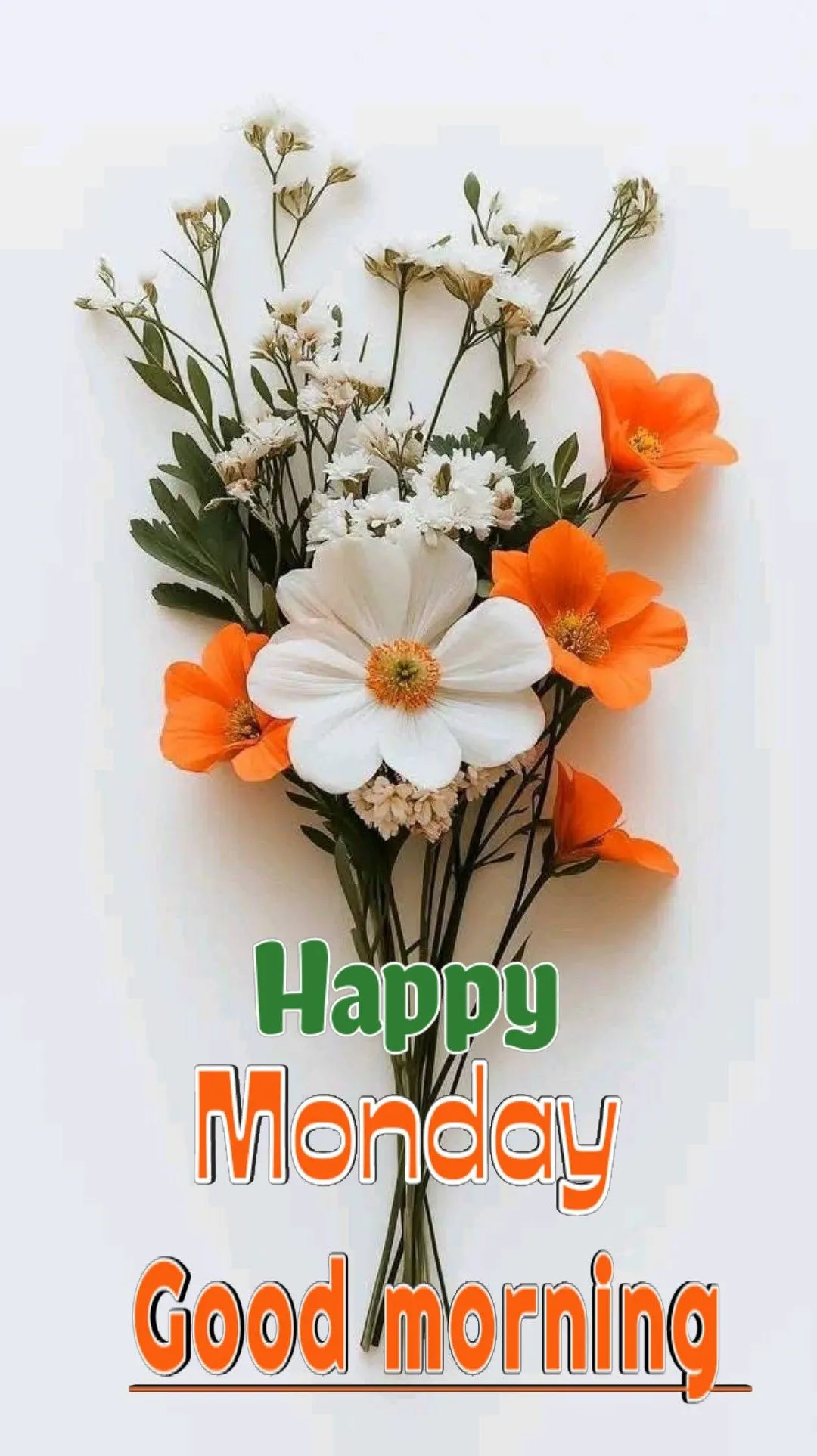 Good Morning Happy Monday Photo