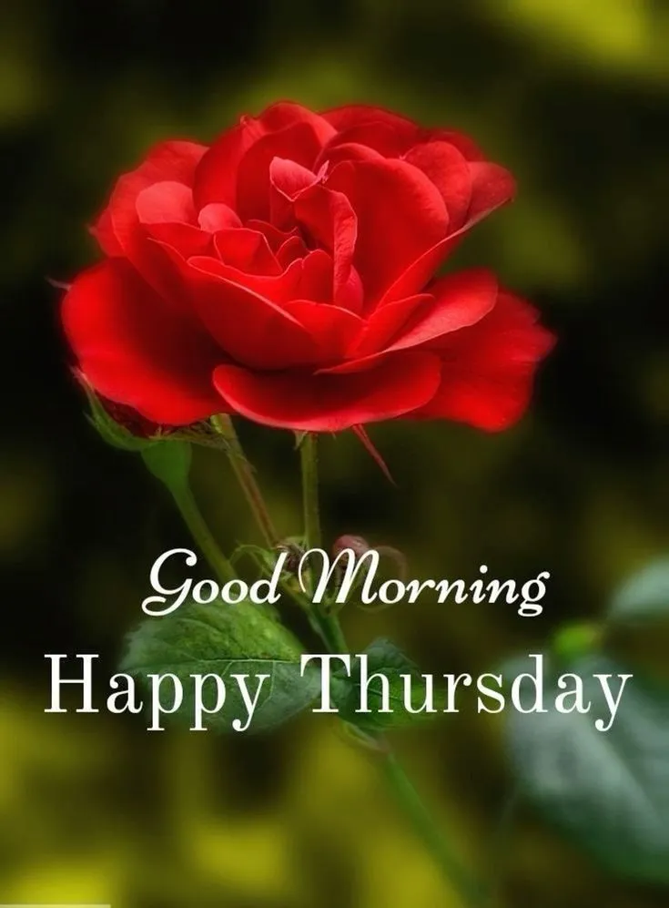 Good Morning Happy Thursday Images