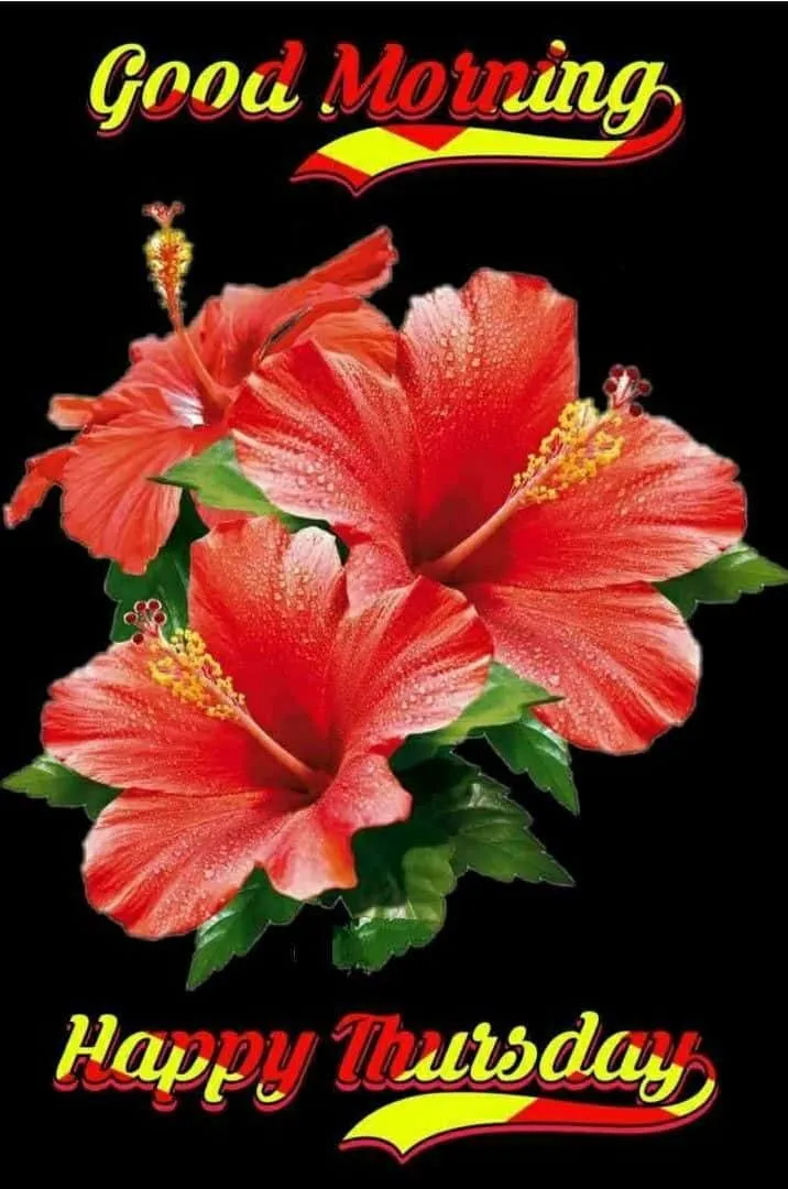 good-morning-happy-thursday-images-10 Good Morning Happy Thursday Images