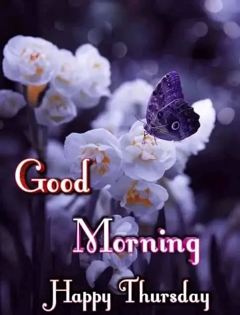 Good Morning Happy Thursday Images