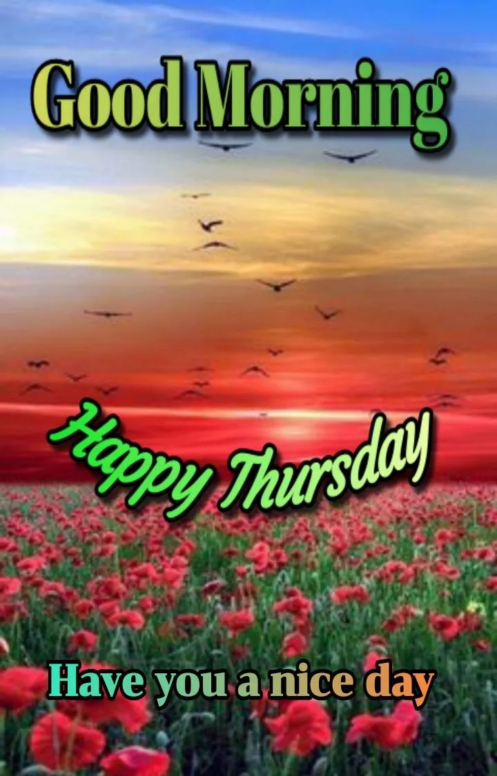 Good Morning Happy Thursday Images
