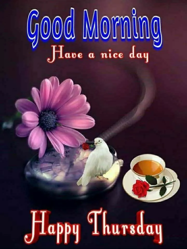 good-morning-happy-thursday-images-5 Good Morning Happy Thursday Images
