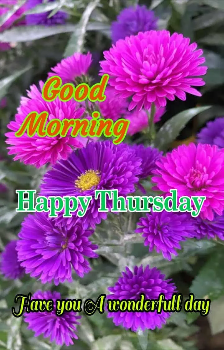 good-morning-happy-thursday-images-6 Good Morning Happy Thursday Images
