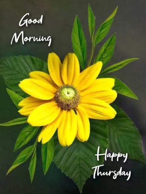 Good Morning Happy Thursday Photo
