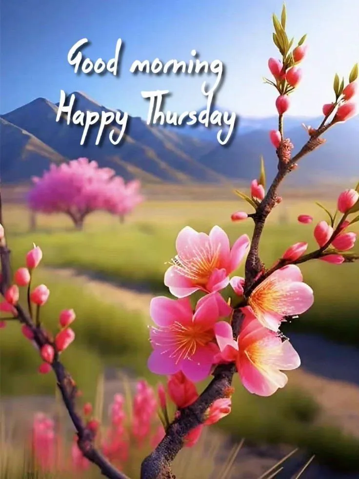 Good Morning Happy Thursday Pic