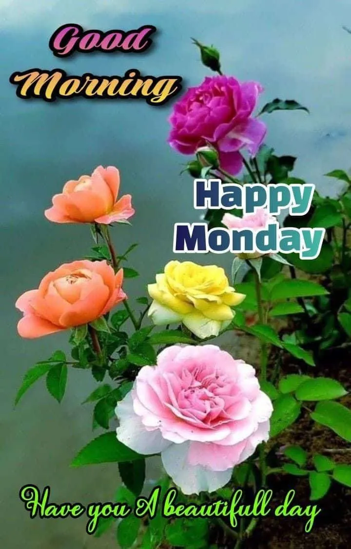 good-morning-monday-images-7 Good Morning Monday Images