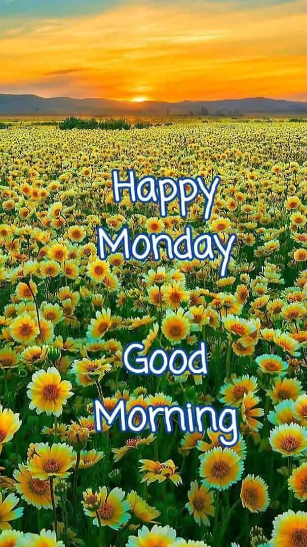 good-morning-monday-images-8 Good Morning Monday Images