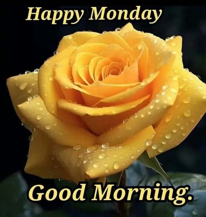good-morning-monday-images-9 Good Morning Monday Images