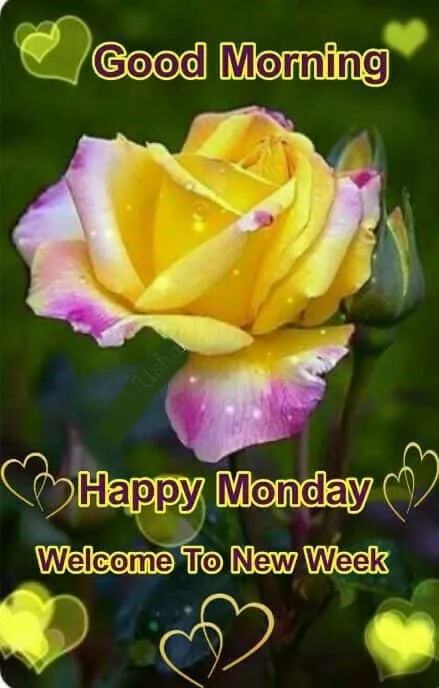good-morning-monday-images-for-whatsapp-3 Good Morning Monday Images For Whatsapp