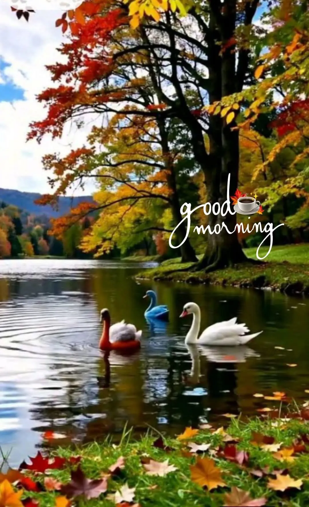 Good Morning Monday Images For Whatsapp