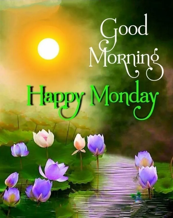 Good Morning Monday Pics For Whatsap