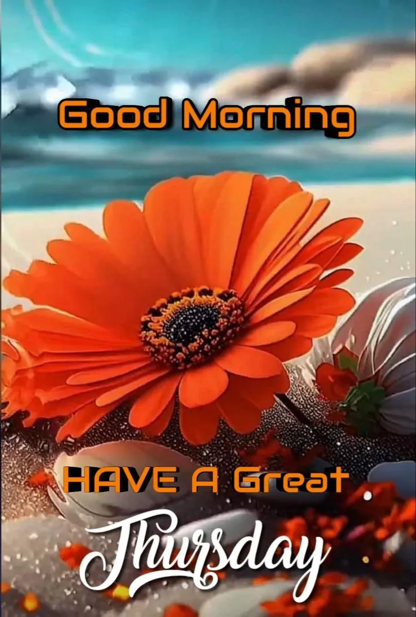 good morning thursday dp