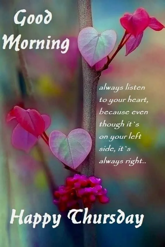 good-morning-thursday-images-1 Good Morning Thursday Images