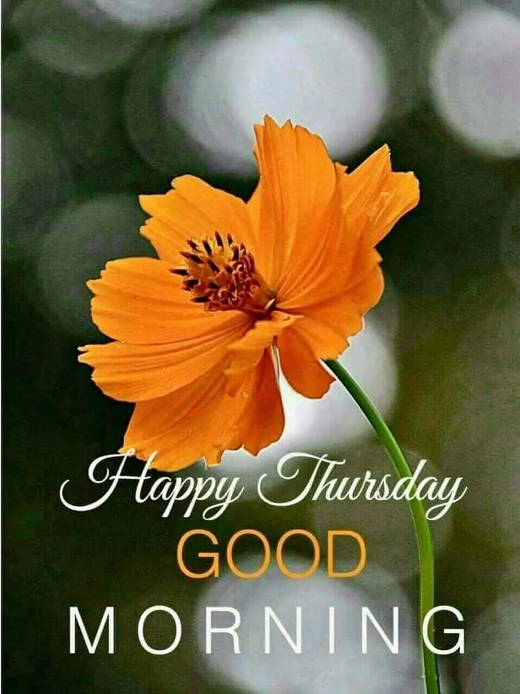good-morning-thursday-images-12 Good Morning Thursday Images