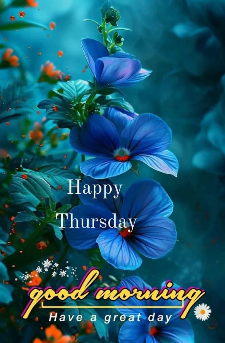 good-morning-thursday-images-3 Good Morning Thursday Images