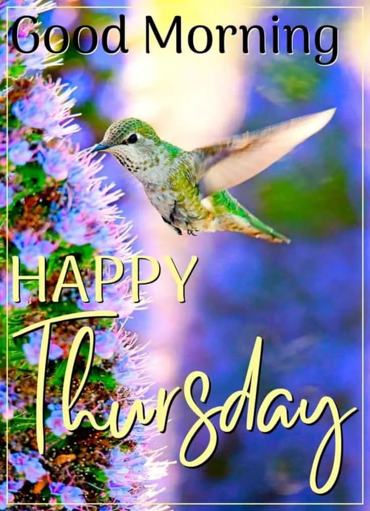 good-morning-thursday-images-8 Good Morning Thursday Images