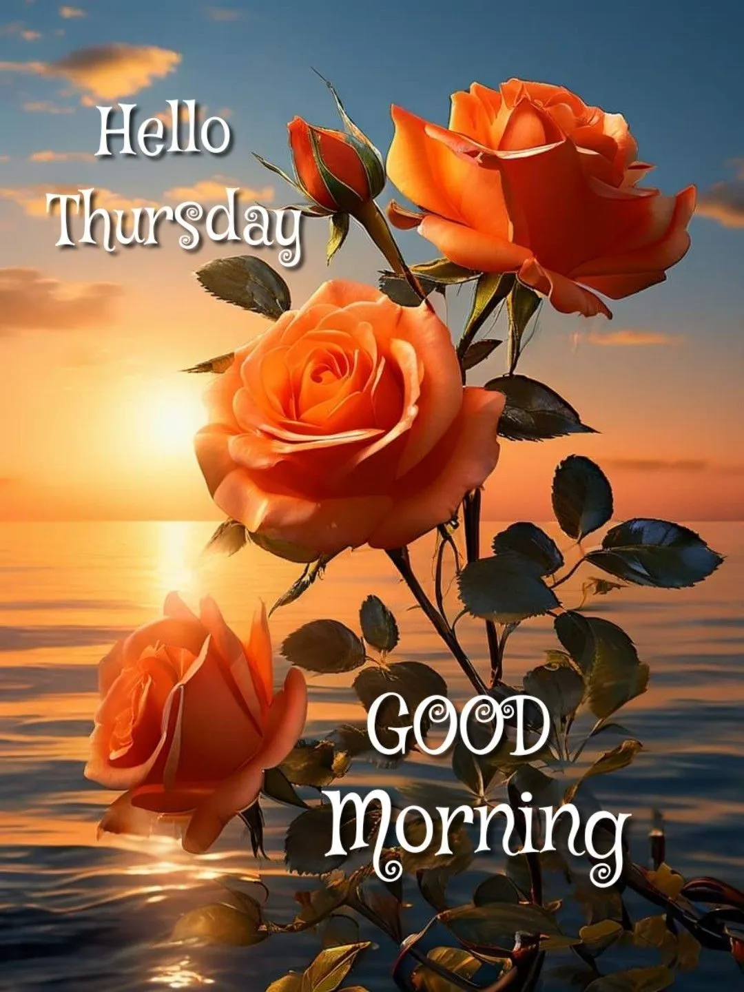 good morning thursday photo
