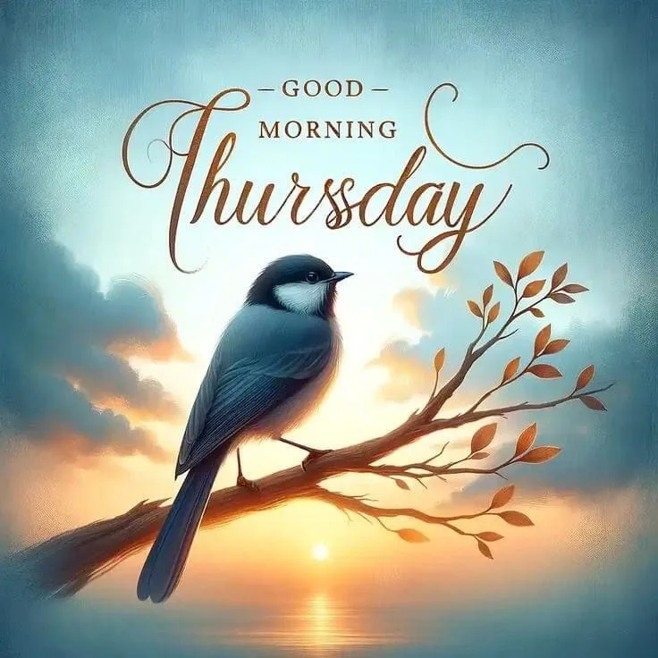 Good Morning Thursday Pics