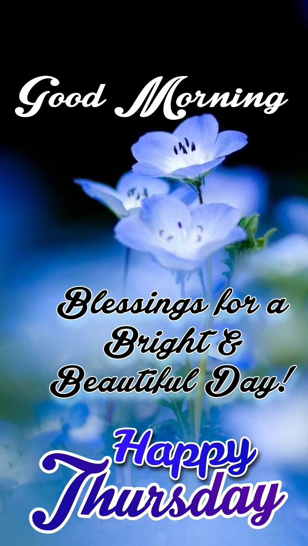 Good Morning Thursday Wishes