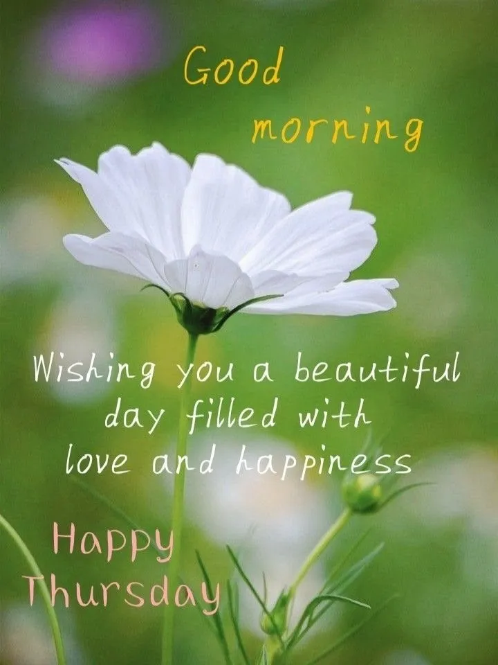 Good Morning Thursday Wishes Image